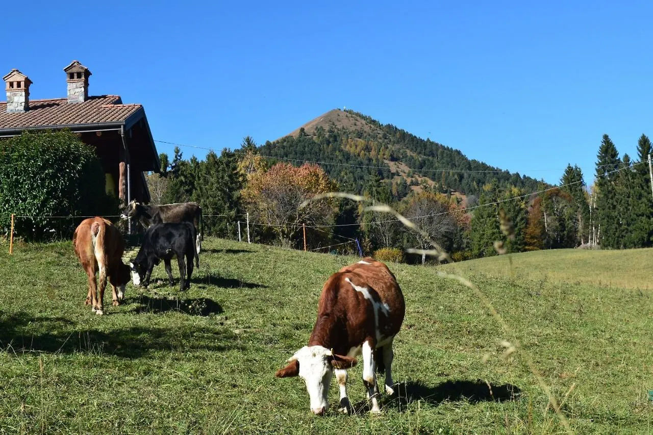 Cinque Abeti Agrialloggio Mountain Lake Iseo Hospitality Bossico Bed & Breakfast