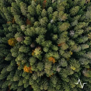Placat Eco Nel Bosco Bossico